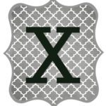 Gray_Black Letter_X