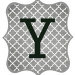 Gray_Black Letter_Y