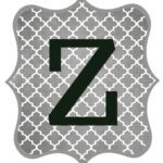 Gray_Black Letter_Z