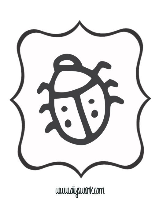 White and Black Lady Bug Banner