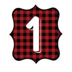 Buffalo Plaid Number 1