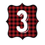 Buffalo Plaid Number 3