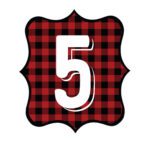 Buffalo Plaid Number 5