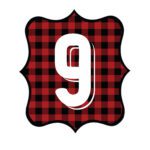 Buffalo Plaid Number 9